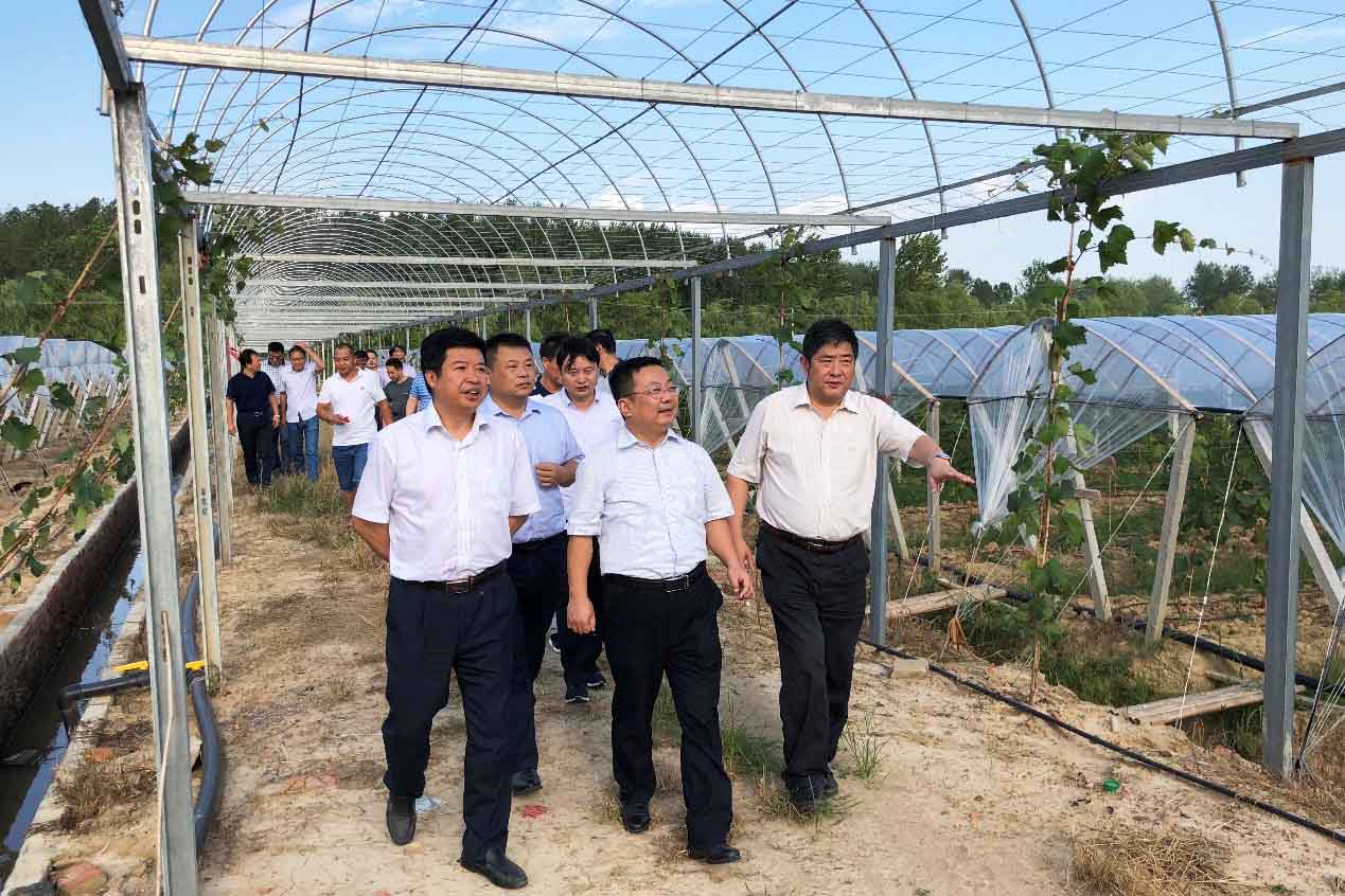 哈希游戏(中国游)官方网站