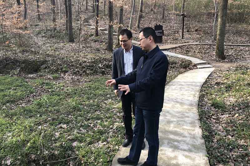 哈希游戏(中国游)官方网站