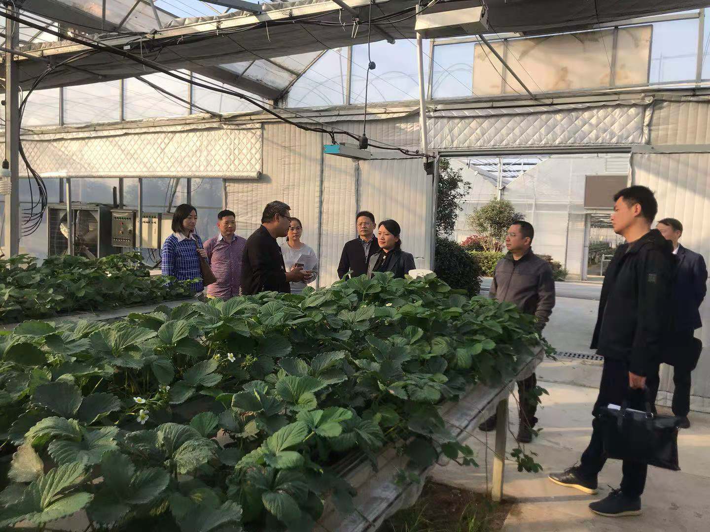 哈希游戏(中国游)官方网站