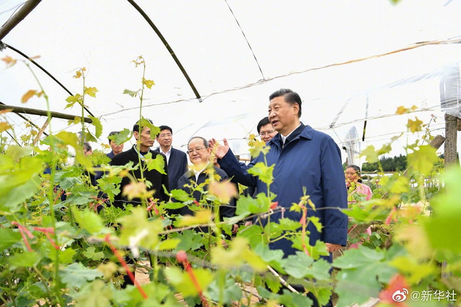 哈希游戏(中国游)官方网站